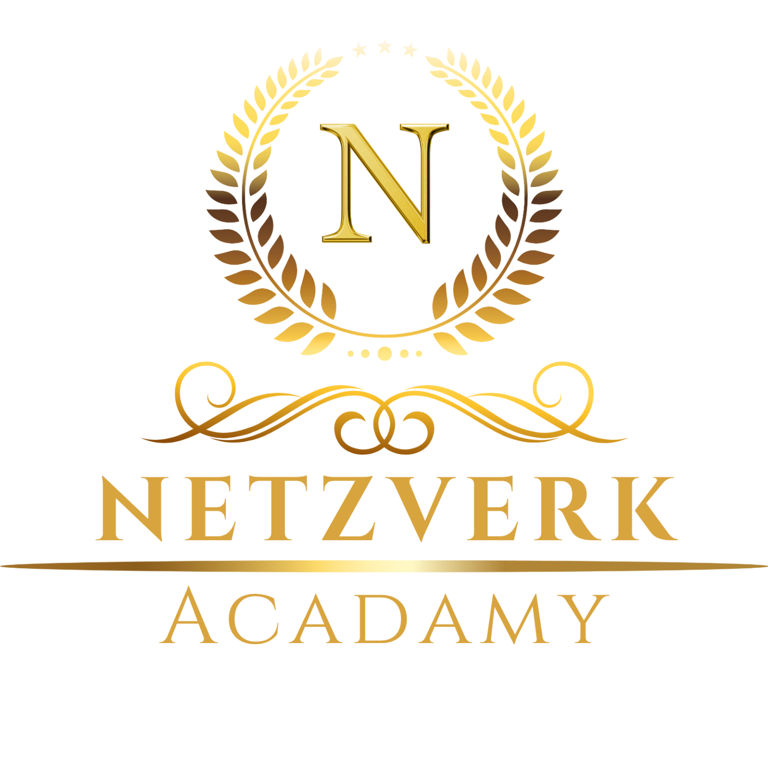 Netzwerk Academy